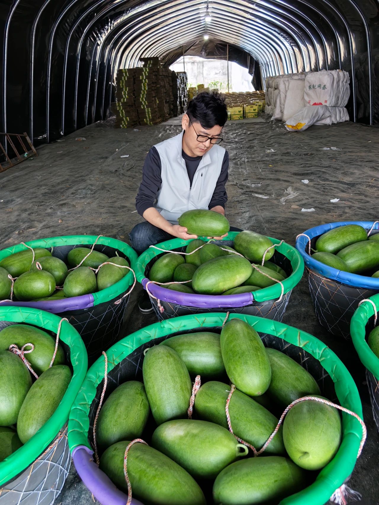 新農領頭人陳志峰:“三林崩瓜”入選中國優質農產品榜單,成為浦東新區農業的一張金色名片(圖1) 微信圖片_20250522103421.jpg