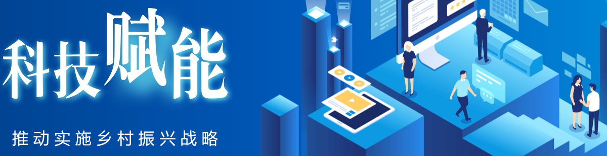 服務(wù)內(nèi)容 服務(wù)內(nèi)容